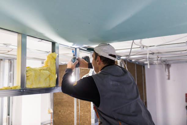 Best Geographic-Specific Insulation Services in Basye, VA