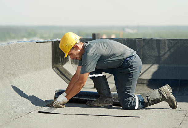 Best Cellulose Insulation in Basye, VA