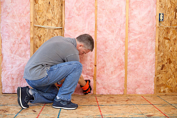 Best DIY Insulation Kits and Guidance in Basye, VA