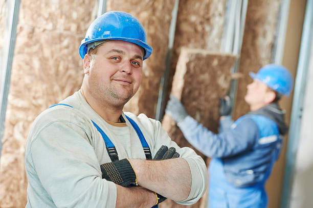Best DIY Insulation Kits and Guidance in Basye, VA