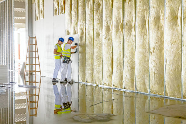 Best Spray Foam Insulation in Basye, VA